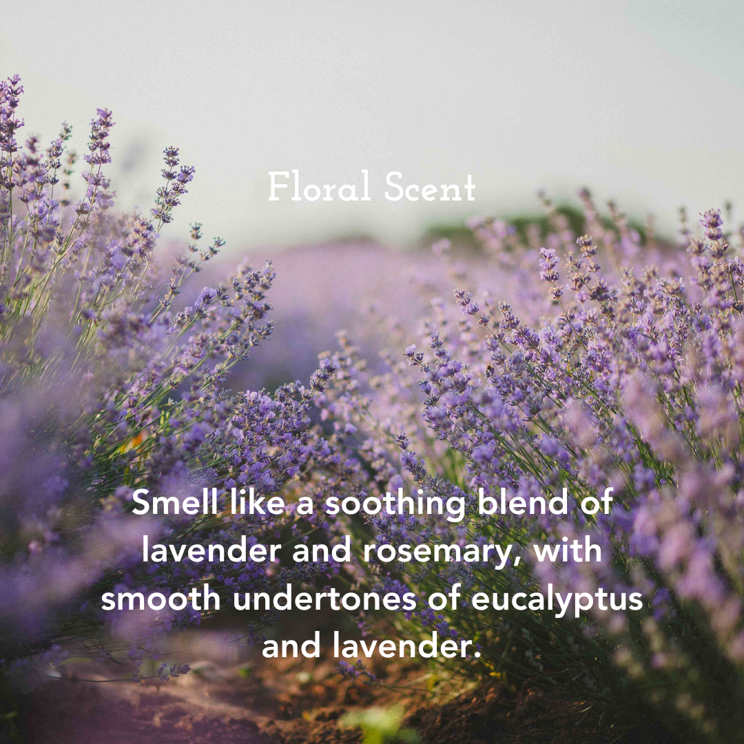 Dreamcation - Rosemary + Lavender